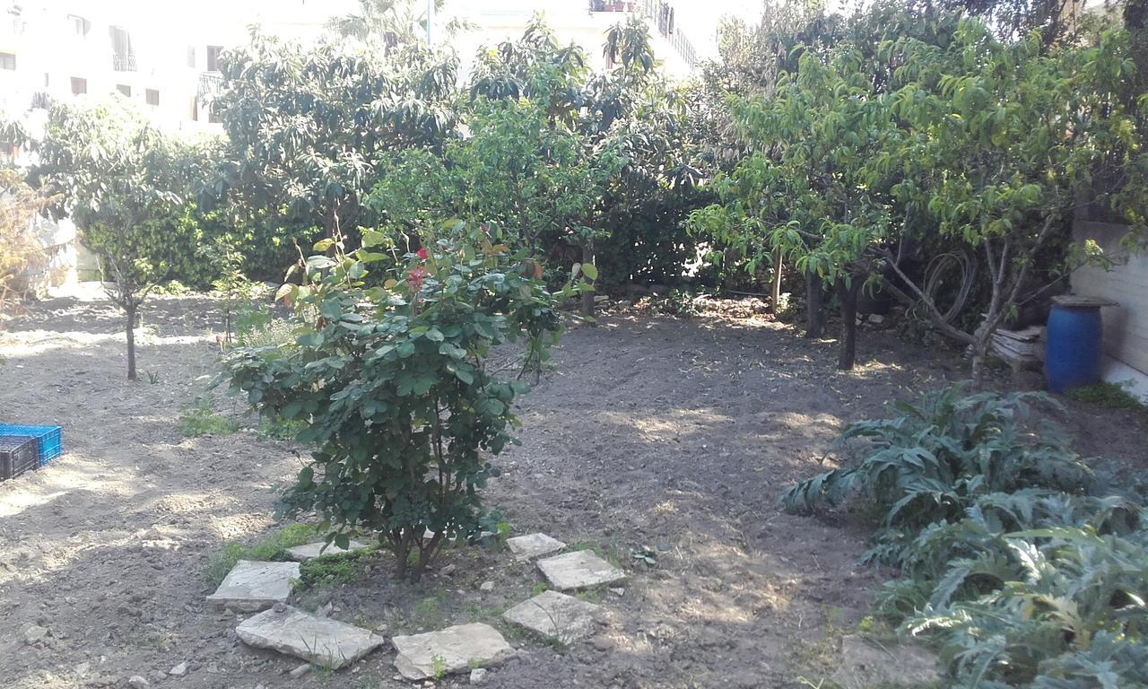 B&B La Palma Ruvo di Puglia Exterior foto